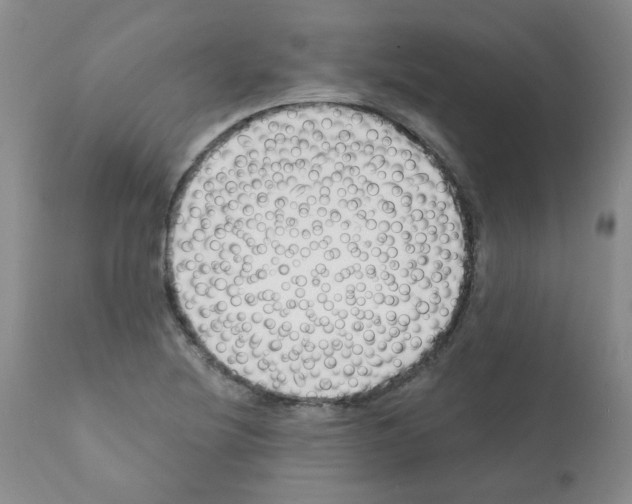 X0000112081220200909151104