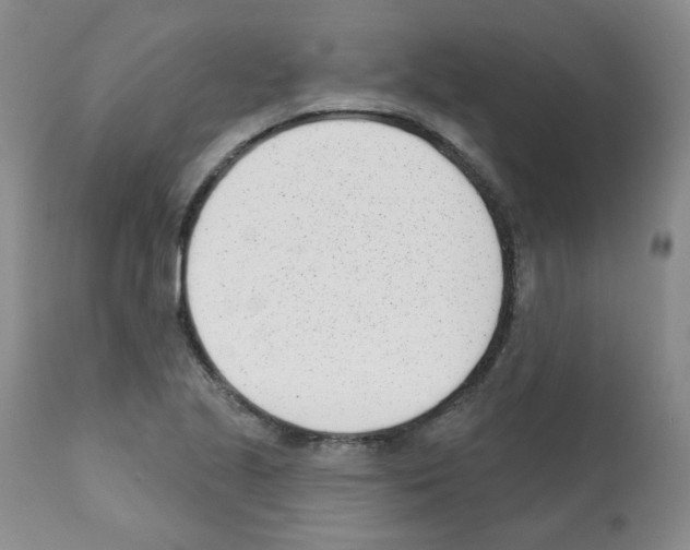X0000112081221200909151104