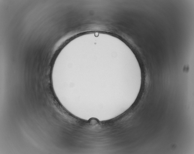 X0000112081222200909151104