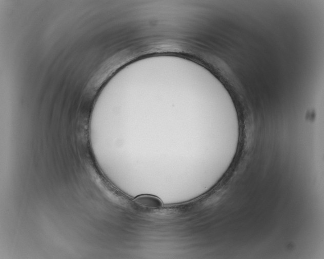 X0000112081225200909151104