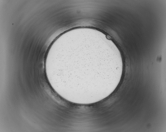 X0000112081226200909151104