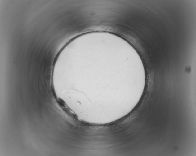 X0000112081228200909151105