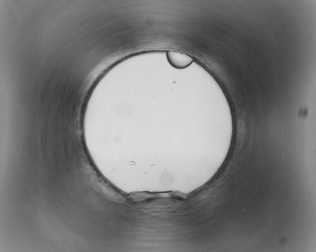 X0000112081230200909151105