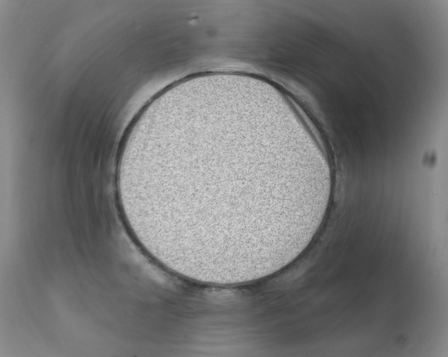 X0000112081231200909151105