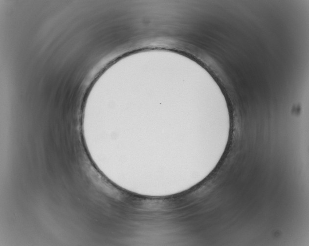 X0000112081232200909151105