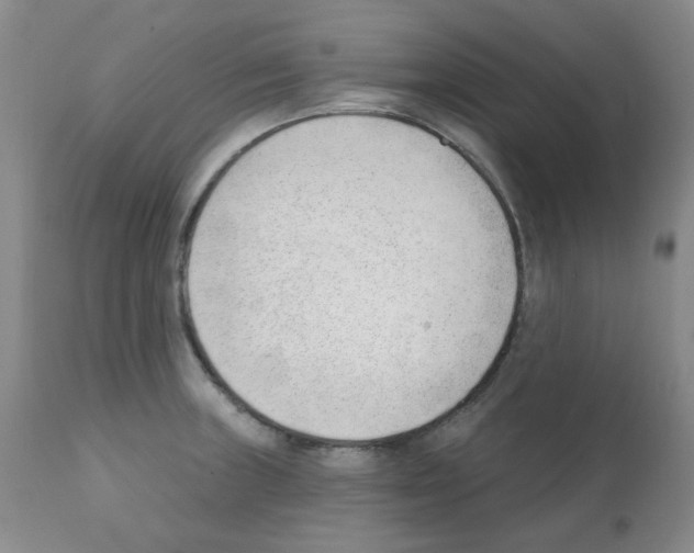 X0000112081235200909151105