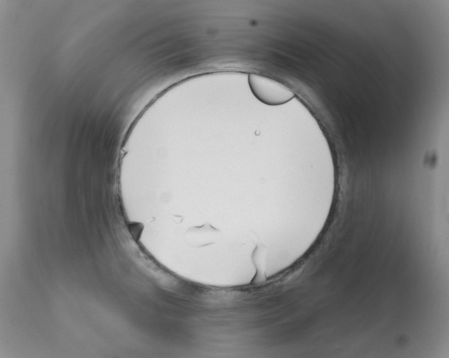 X0000112081236200909151105