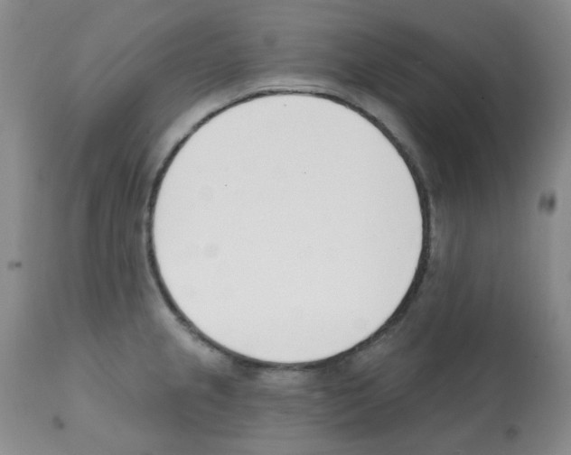 X0000112081237200909151105