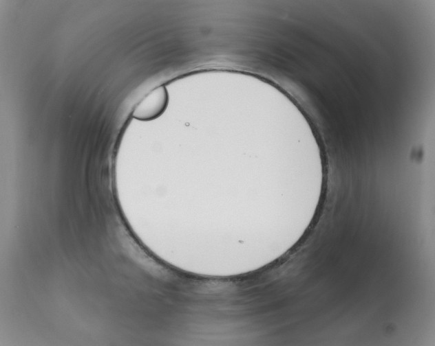 X0000112081238200909151105