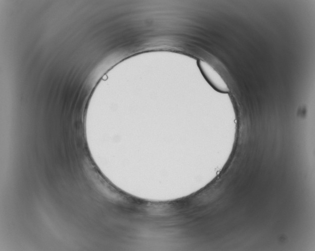 X0000112081242200909151105