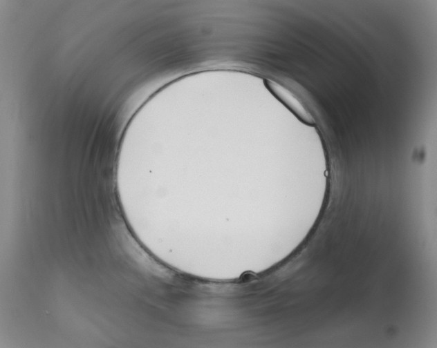 X0000112081244200909151105