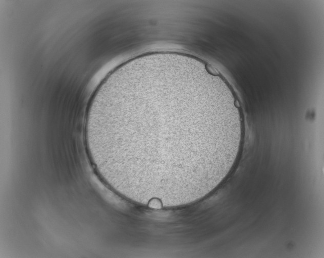 X0000112081245200909151105