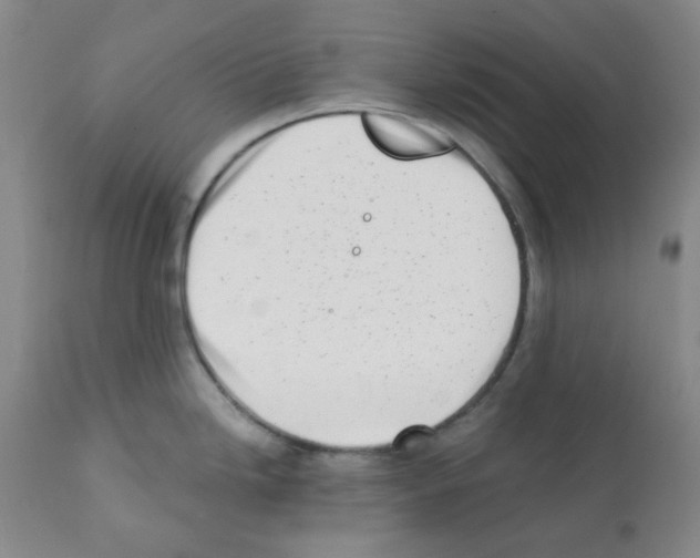 X0000112081246200909151105