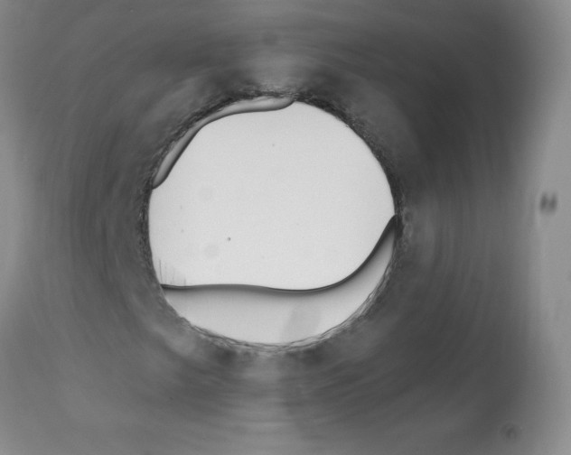X0000112081249200909151104