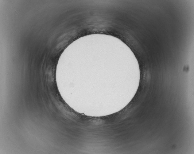 X0000112081250200909151104