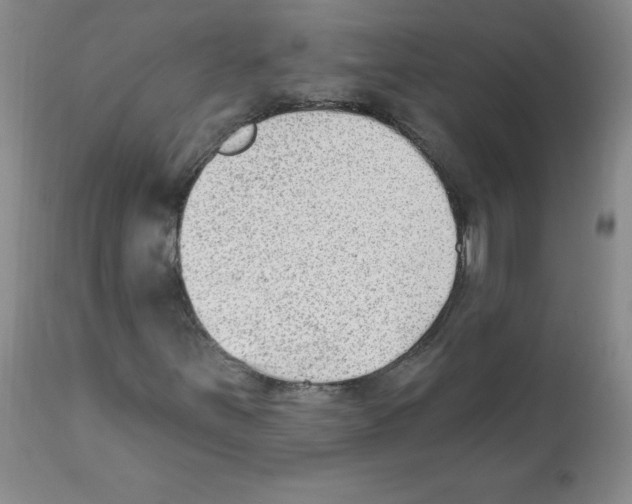 X0000112081251200909151104
