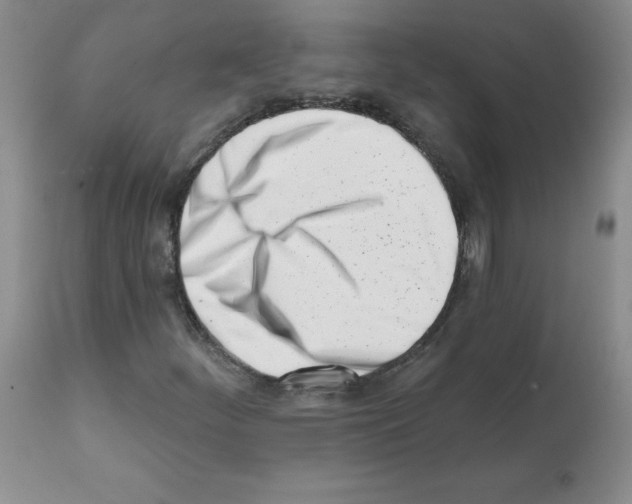 X0000112081252200909151104
