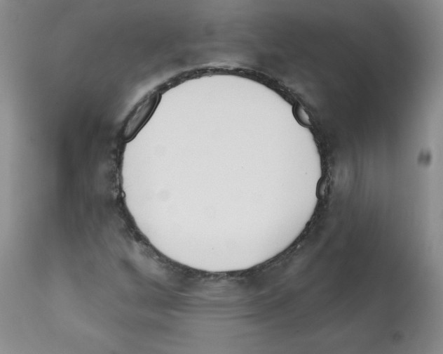 X0000112081256200909151104