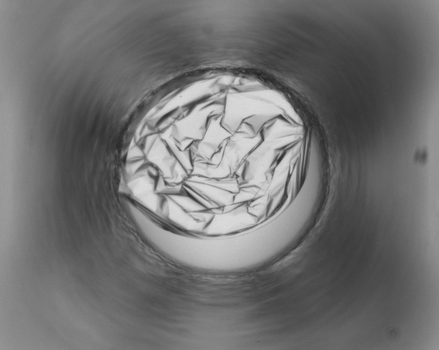 X0000112081257200909151104