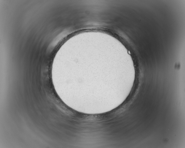 X0000112081259200909151104