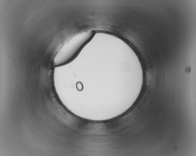 X0000112081260200909151104