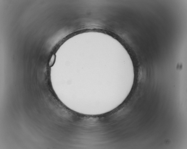 X0000112081261200909151104