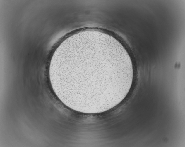 X0000112081263200909151104