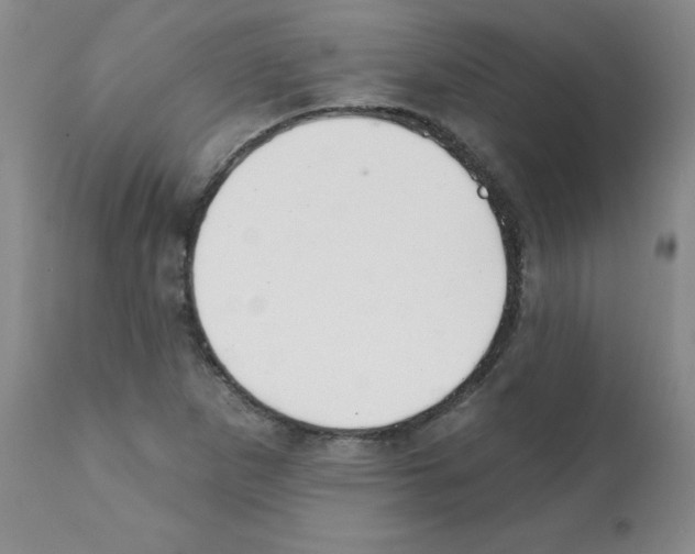 X0000112081265200909151104