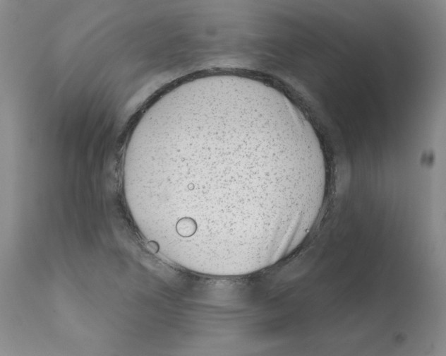 X0000112081266200909151104