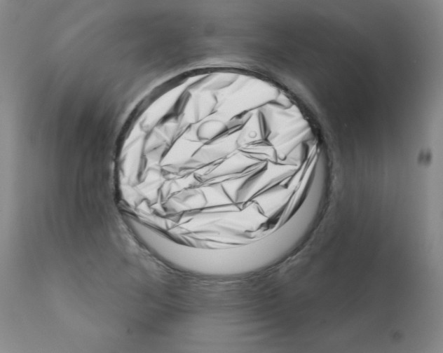 X0000112081268200909151104