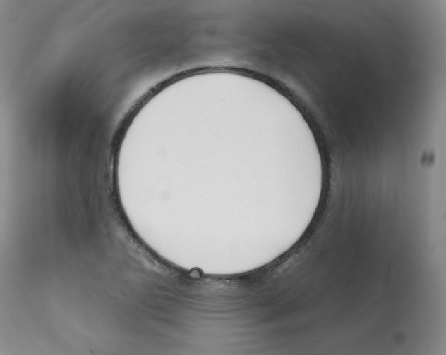 X0000112081270200909151104