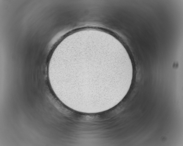 X0000112081271200909151104