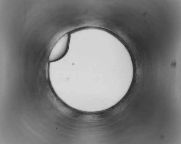 X0000112081272200909151104