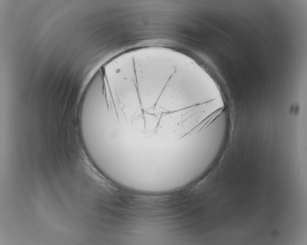 X0000112081276200909151104