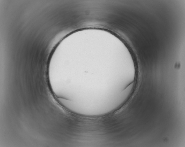 X0000112081277200909151104