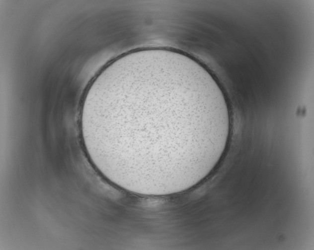 X0000112081278200909151104