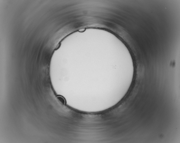 X0000112081281200909151103