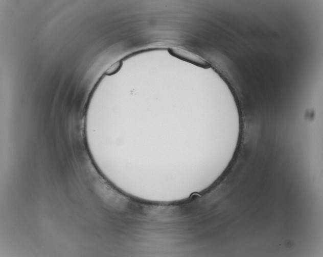 X0000112081284200909151103