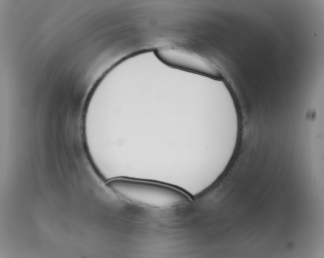 X0000112081285200909151103