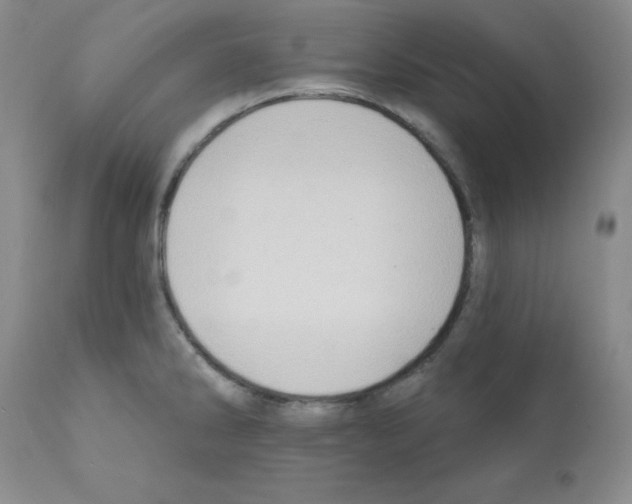 X0000112081286200909151103