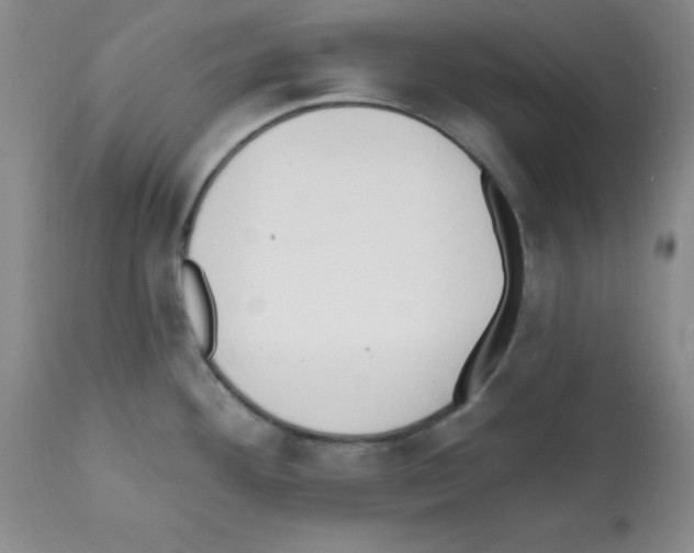 X0000112081292200909151103