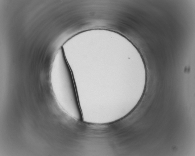 X0000112081296200909151103