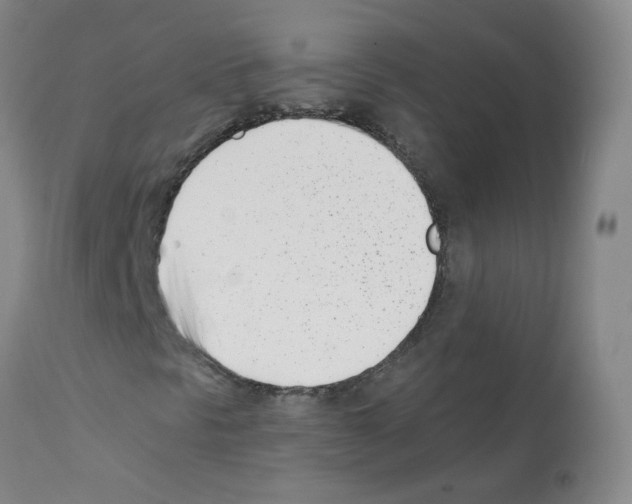 X0000112081297200909151103