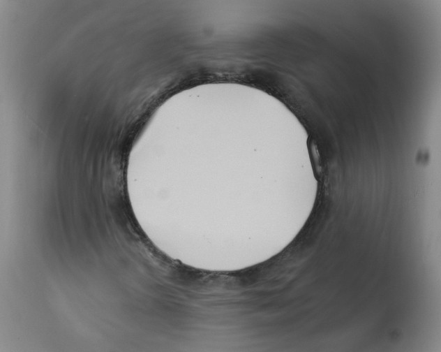 X0000112081298200909151103