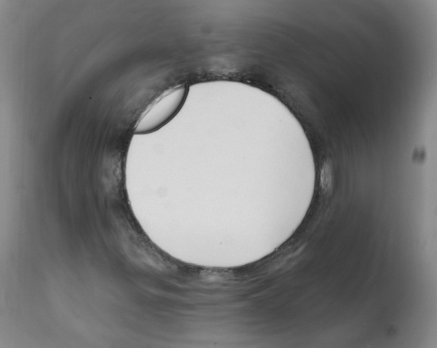X0000112081299200909151103