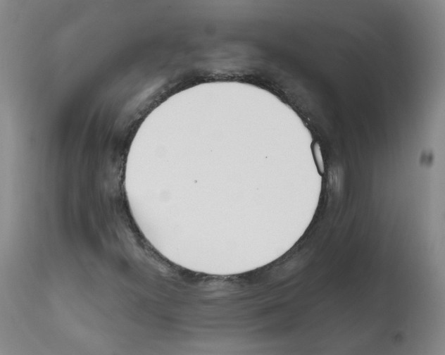 X0000112081300200909151103