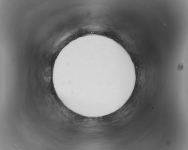 X0000112081301200909151103