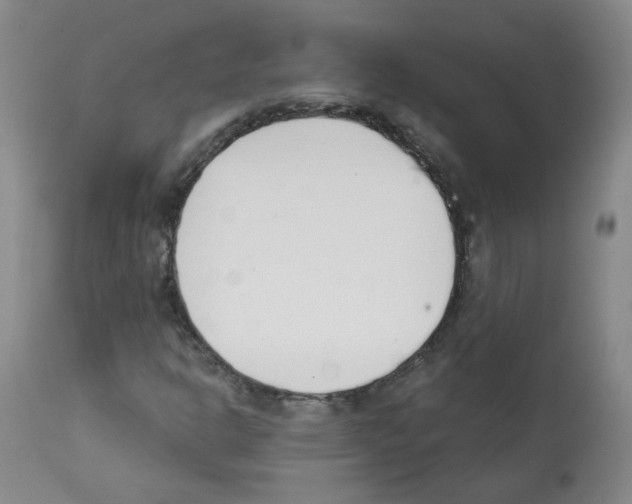 X0000112081302200909151103