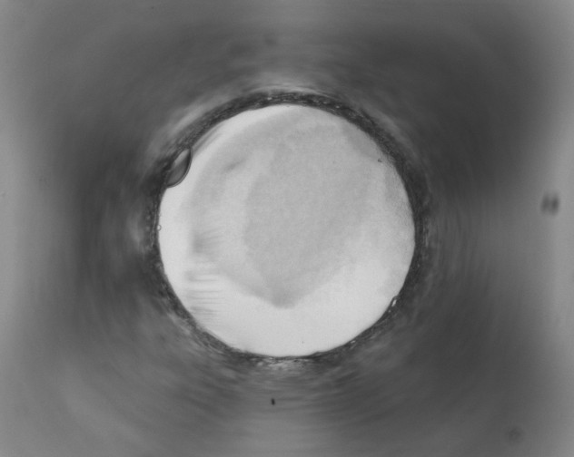 X0000112081303200909151103