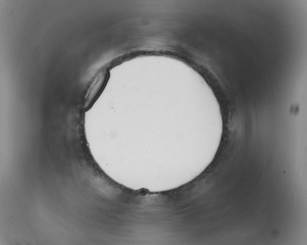 X0000112081304200909151103